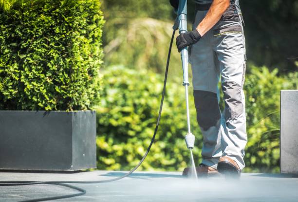 Best Fence Cleaning and Maintenance in Riverdale, NJ